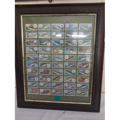 Lot 432       