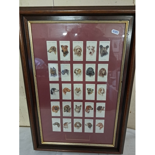 Lot 451       