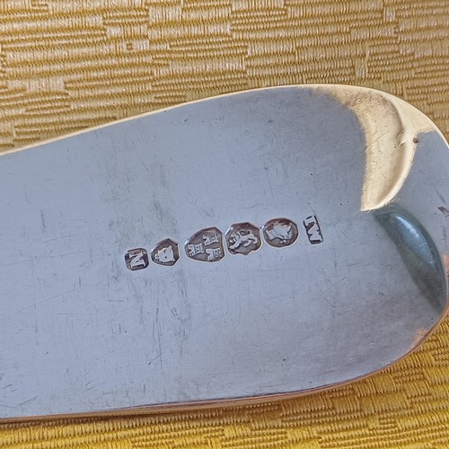361 - Newcastle Silver Basting or Serving Spoon by John Wallon 1851 (12