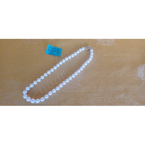 378 - Cultured Pearl - String of Pearls