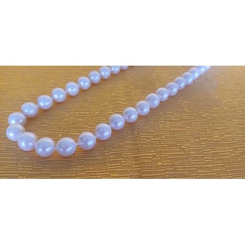 378 - Cultured Pearl - String of Pearls