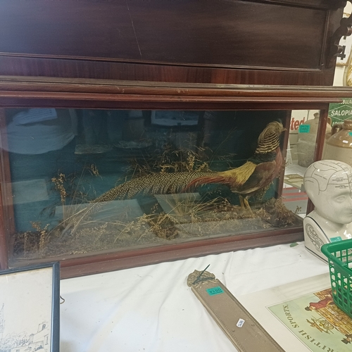 Lot 480       