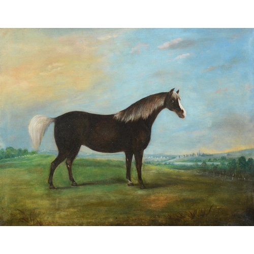 117 - English school, 19th century, a study of a horse in a landscape, oil on canvas, 49 x 62 cm, and its ... 