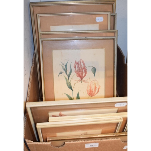 64 - Thirteen assorted watercolour studies of plants and flowers (box)