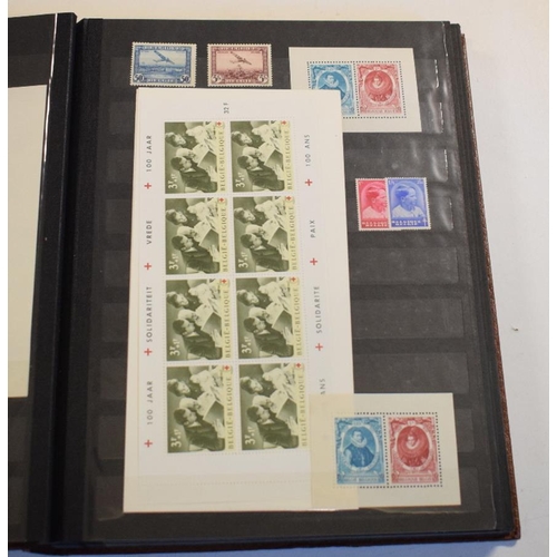 81 - An album of European stamps, a mint selection of sets and mini sheets in a large stockbook, much unm... 