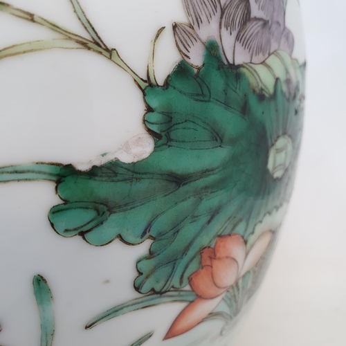 300 - A pair of Chinese famille verte ginger jars and covers, decorated birds, flowers and foliage, 21.5 c... 