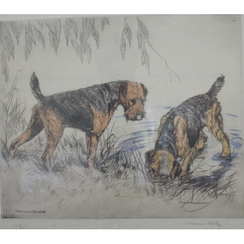 136 - A Vernon Stokes limited edition coloured etching, Spaniels, signed and numbered 62/75, 26.5 x 31 cm,... 