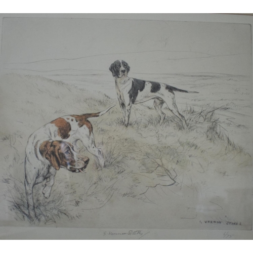 136 - A Vernon Stokes limited edition coloured etching, Spaniels, signed and numbered 62/75, 26.5 x 31 cm,... 