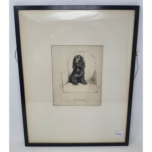 193 - A Cecil Aldin artists proof etching, a Cocker Spaniel