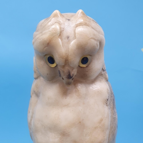 263 - A carved alabaster figure, of an owl, perched on a rock, 28 cm high, removal cost A