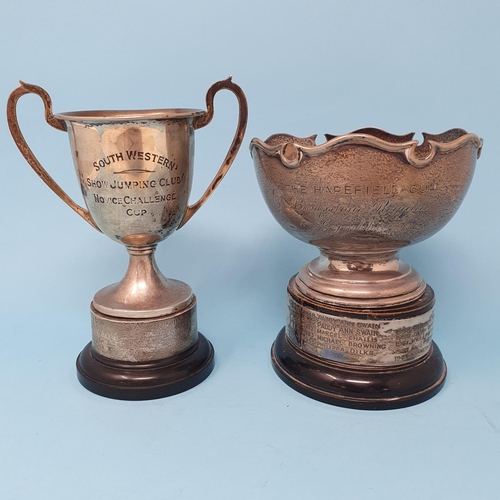 289 - A George V silver two handled trophy cup, Birmingham 1921, on an ebonised base, and an Edward VII pr... 