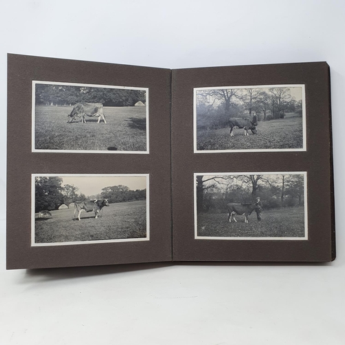 335 - A photograph and scrap album, country estate Life, 1916 to 1921