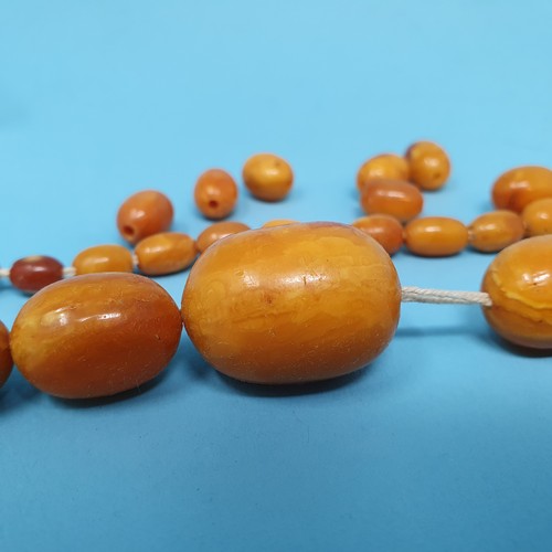 253 - A group of amber beads, removal cost A