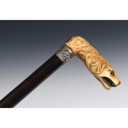 Lot 535       