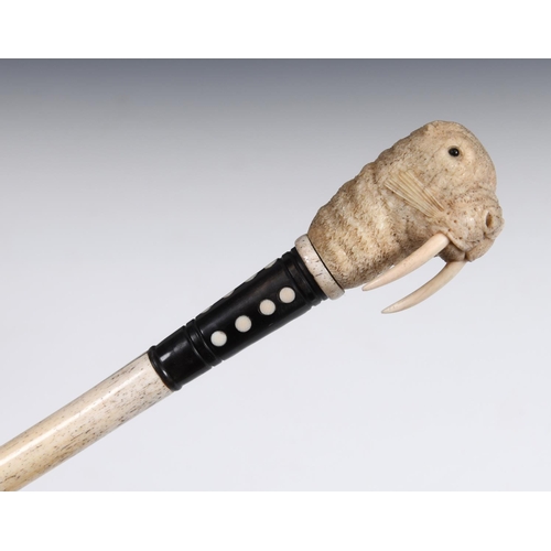 Lot 539       