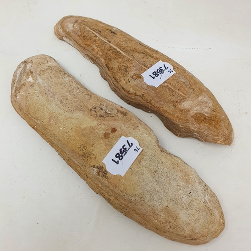 647 - A fossilized fish, from the Brazilian Santana formation, 21 cm wide