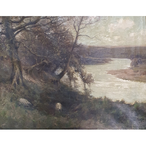 Lot 709       