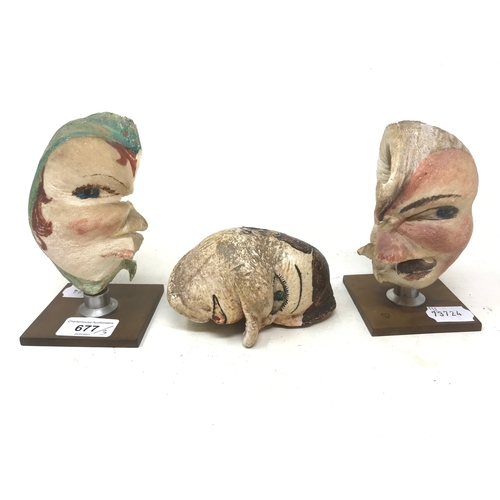 677 - A painted whale ear drum, and two others similar mounted on stands (3)
