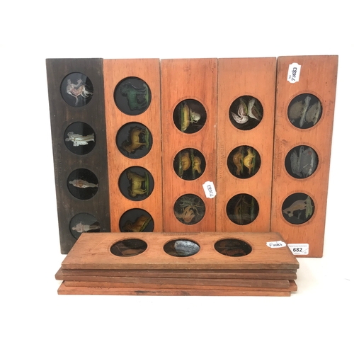 682 - A group of ten Copper Plate Sliders, Mammalia for a magic lantern, each with three or four painted i... 