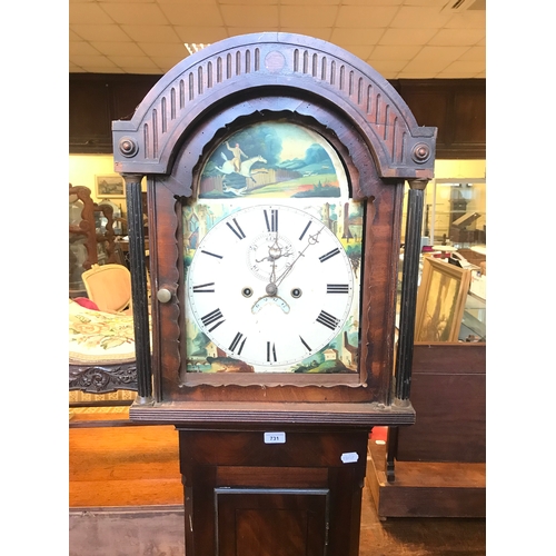 Lot 731       