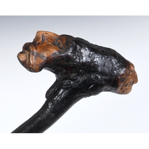 Lot 507       