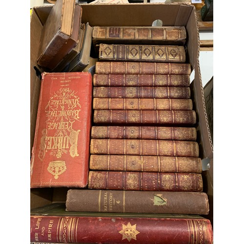 Lot 412       