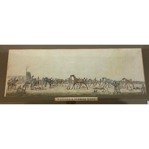 Lot 429       
