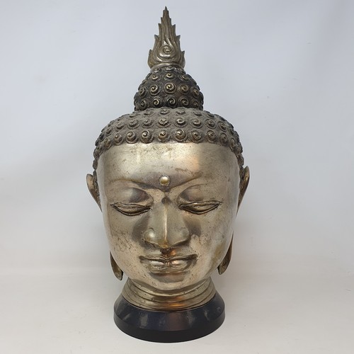Lot 678       
