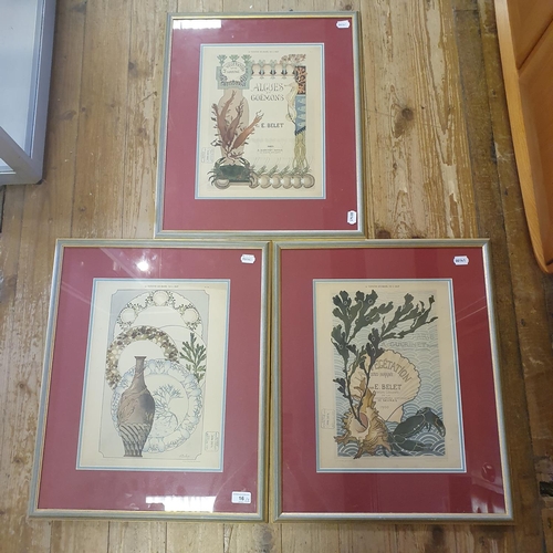 Lot 16        