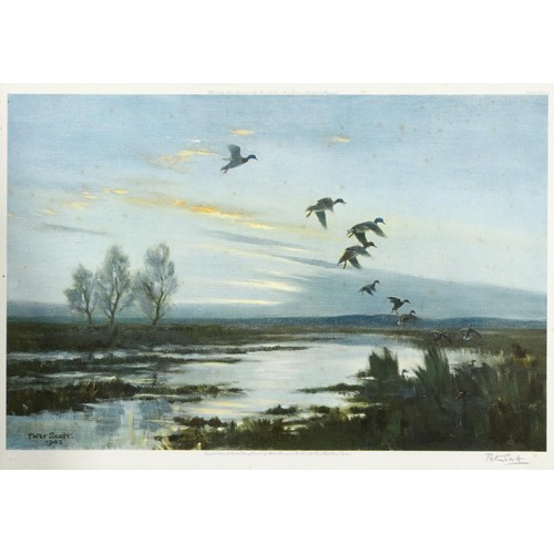 Lot 115       