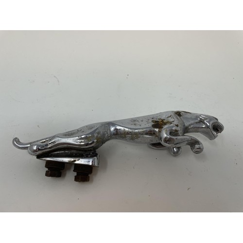 46 - A chrome car mascot, in the form of a stag, a chrome Jaguar leaping cat car mascot, and another masc... 