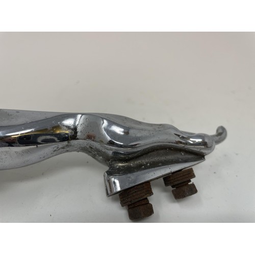 46 - A chrome car mascot, in the form of a stag, a chrome Jaguar leaping cat car mascot, and another masc... 