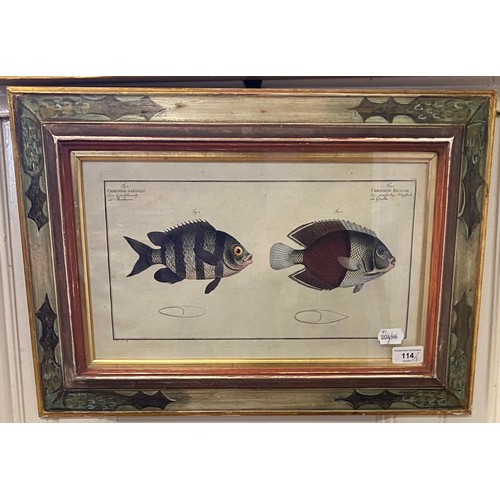 114 - A print of two fish, 25 x 40 cm, a print of a jackdaw, 23 x 32 cm, and a crow (3)