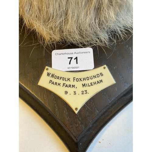 71 - Taxidermy: Fox head, with label reading W Norfolk Foxhounds, Park Farm, Mileham, 9.3.23, Rowland War... 