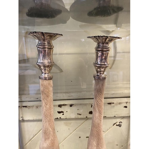 78 - A pair of deer slot table candlesticks, with silver mounts, on oak bases, 37 cm high (2)