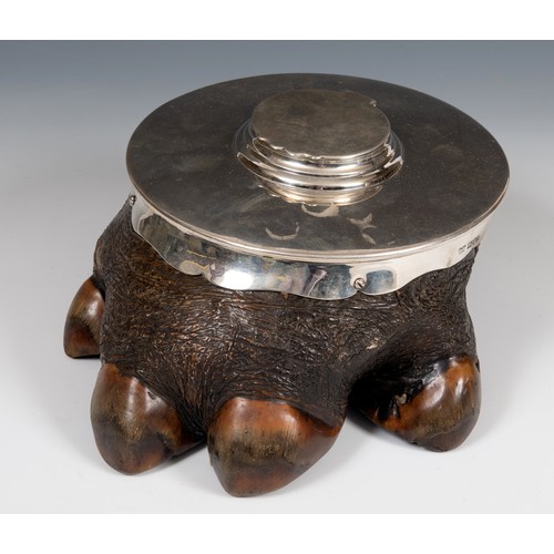 53 - A silver mounted hippopotamus foot inkwell, London 1914, 20 cm diameter