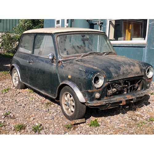 4 - 1990 Mini Racing Green Checkmate
Registration number G471 NRP 
Being sold without reserve 
Rare 30 y...