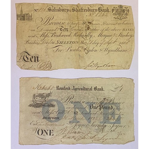 104 - An early 19th century Salisbury & Shaftesbury £10 banknote, 1808, repaired, and a Romford Agricultur... 