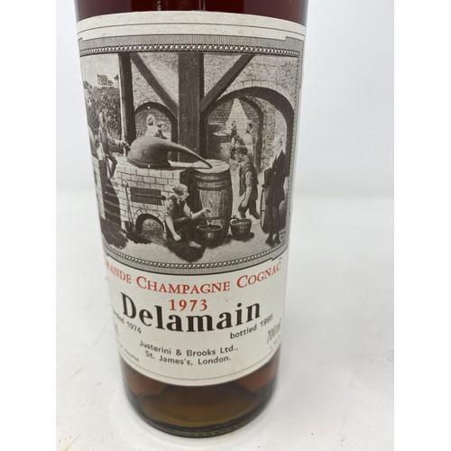 672 - A bottle of Delamain Grande Champagne cognac, 1973, landed 1974, and bottled 1985