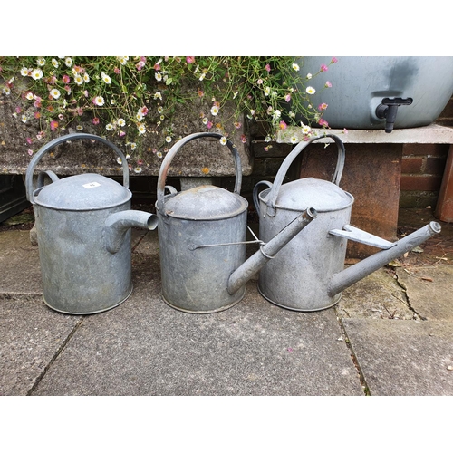 15 - A Beldray two gallon galvanised metal watering can, and two others similar (3)...