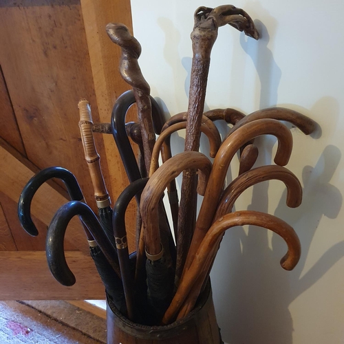 172 - A coopered oak stick stand, 59 cm high, and assorted walking sticks