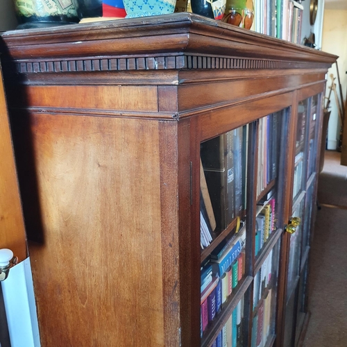 182 - An Edwardian mahogany two door bookcase, the molded cornice above a dentil frieze, with a pair of ba... 