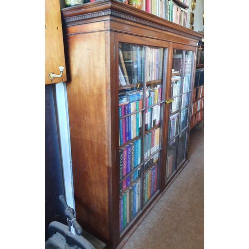 182 - An Edwardian mahogany two door bookcase, the molded cornice above a dentil frieze, with a pair of ba... 