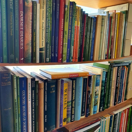 205 - Assorted books, including Dorset, and a small group of fine art reference books (qty)