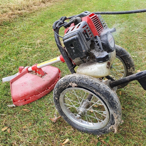 28 - An Eckman petrol grass trimmer (in the garden shed)...