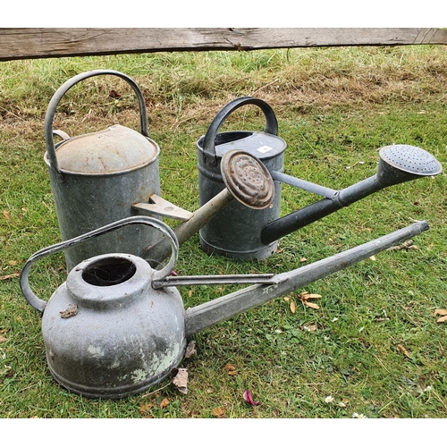 30 - A Beldray two and a half gallon galvanised metal watering can, and two others similar (in the garden...