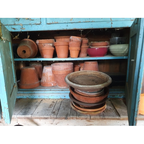 31 - The remaining contents of the garden shed including: terracotta garden pots, stands, garden plant st...