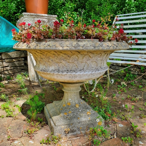 47 - A reconstituted stone garden urn, approx. 60 cm high, planted with succulents...