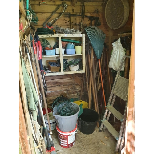 59 - The loose contents of the Gardeners Shed, including gardening tools and other items...