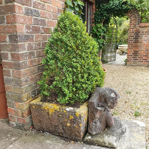 8 - A stone garden trough, 30 cm high, planted with a box tree...